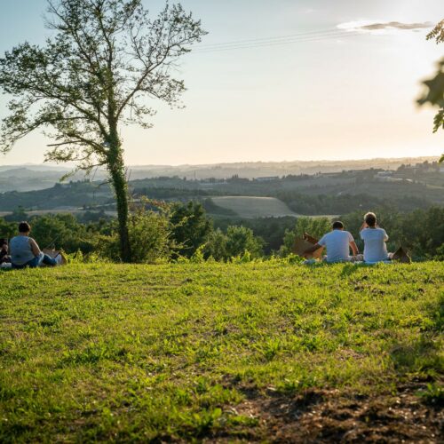 La Fattoria di Peccioli e la tenuta delle Serre: una passeggiata nel verde della Valdera