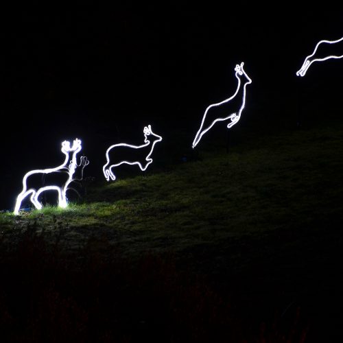 In Peccioli lux di Vittorio Corsini