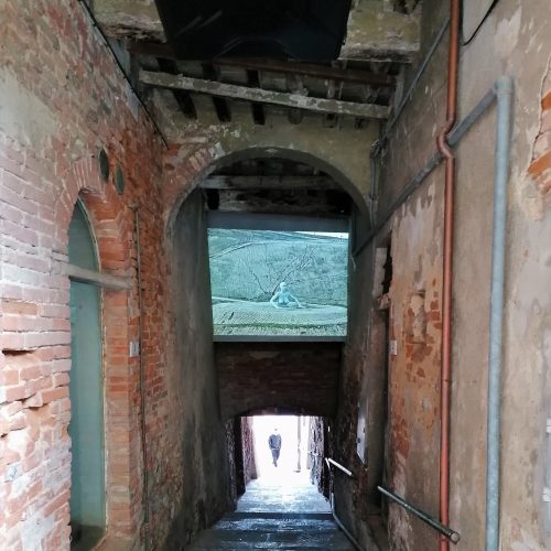 Un occhio sulla discarica